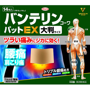 반테린 코와패드EX (대형) 14장 근육통 관절통 